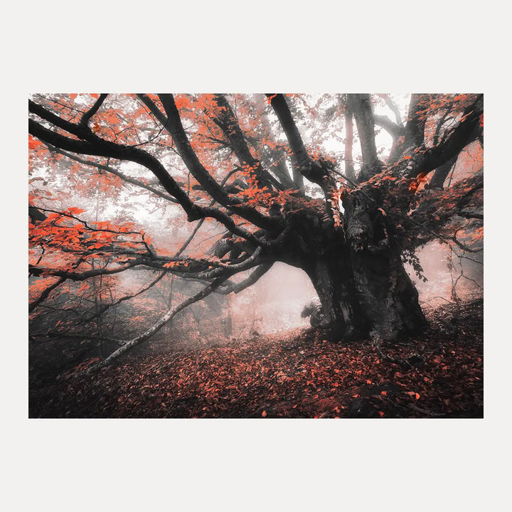 Poster - Roots of Autumn