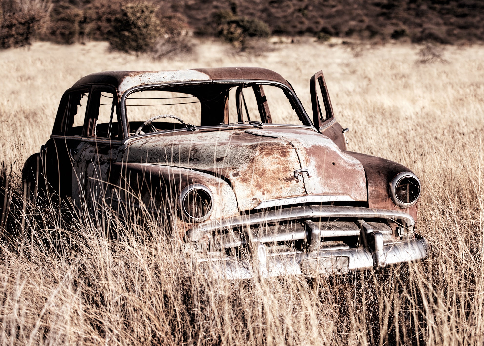 Canvastavla - Deserted Drive