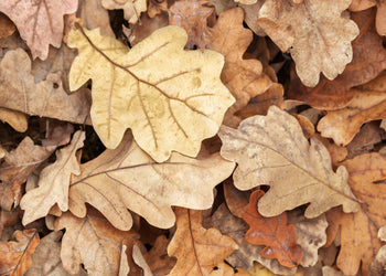 Canvastavla - Nature's Tapestry