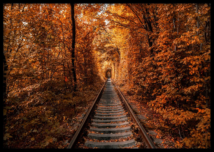 Poster - Tunnel of Autumn