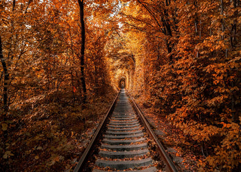 Canvastavla - Tunnel of Autumn
