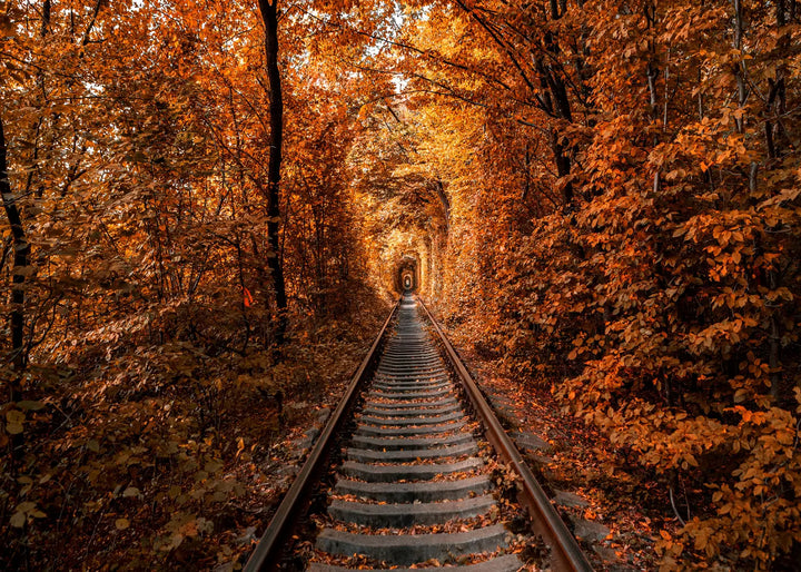Poster - Tunnel of Autumn