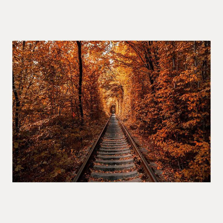 Poster - Tunnel of Autumn