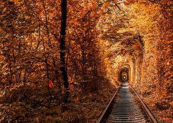 Canvastavla - Tunnel of Autumn