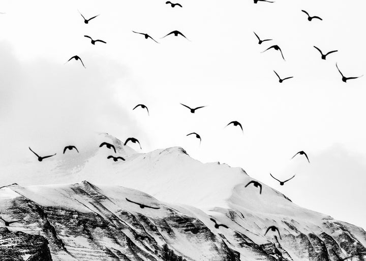 Canvastavla - Mountains & Birds