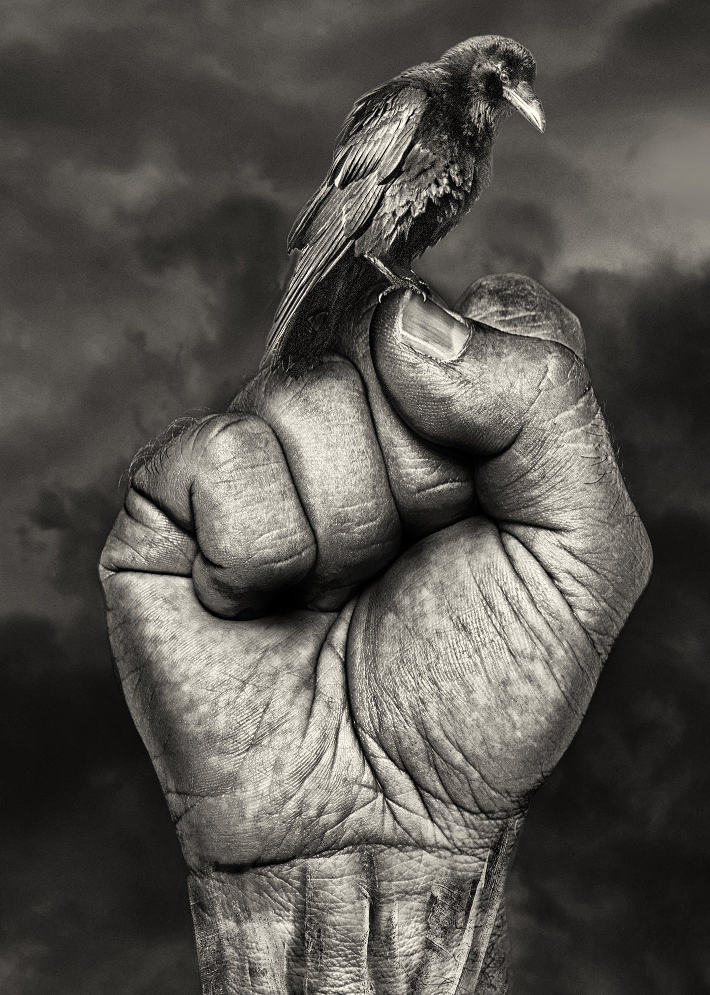 Canvastavla - Raven's Embrace