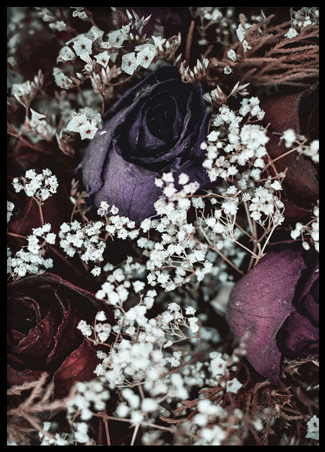 Poster - Posy