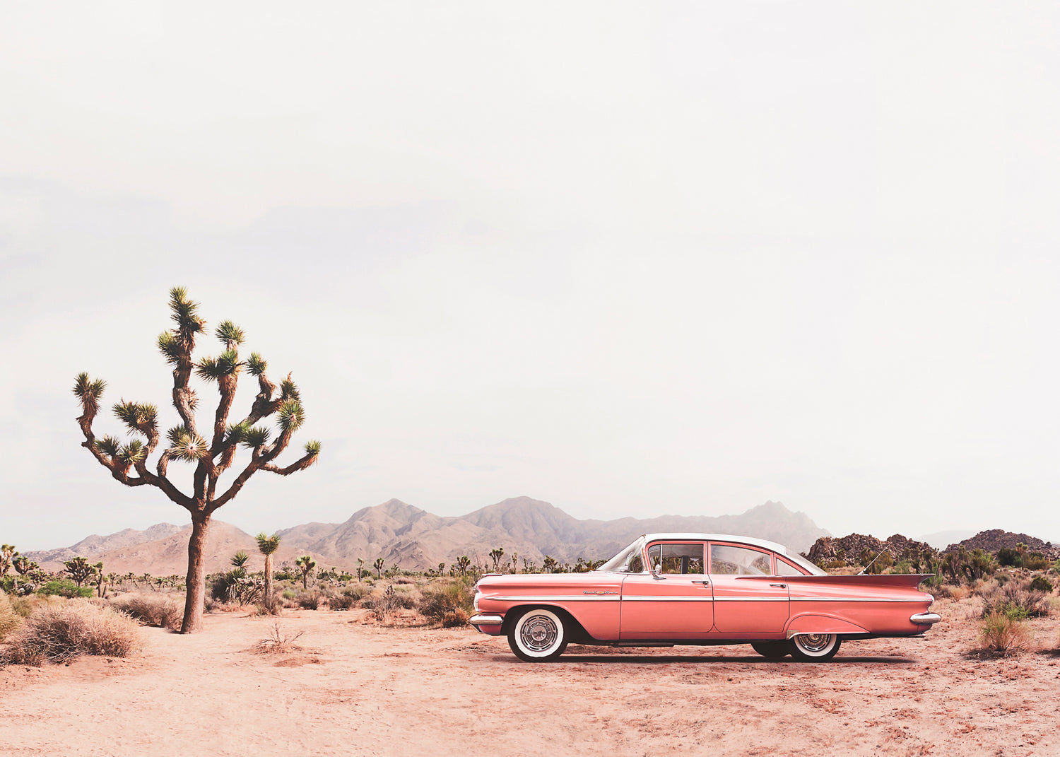 Canvastavla - In the desert