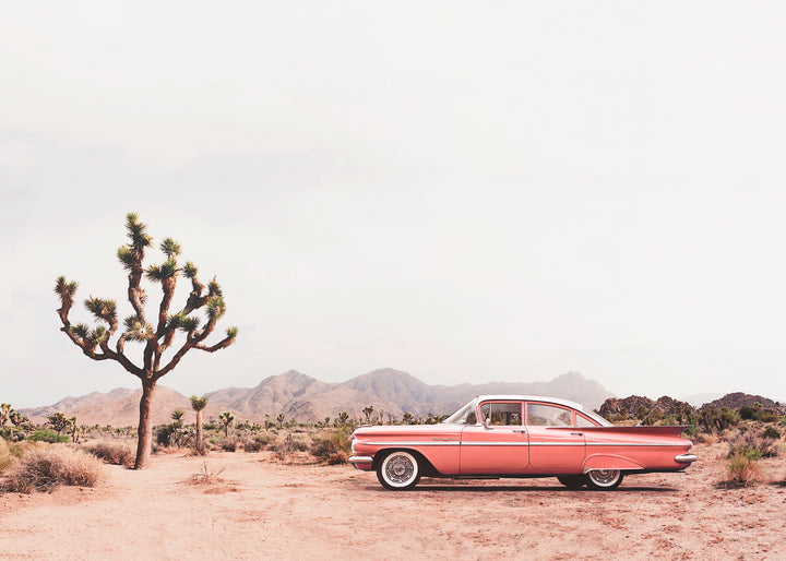 Canvastavla - In the desert