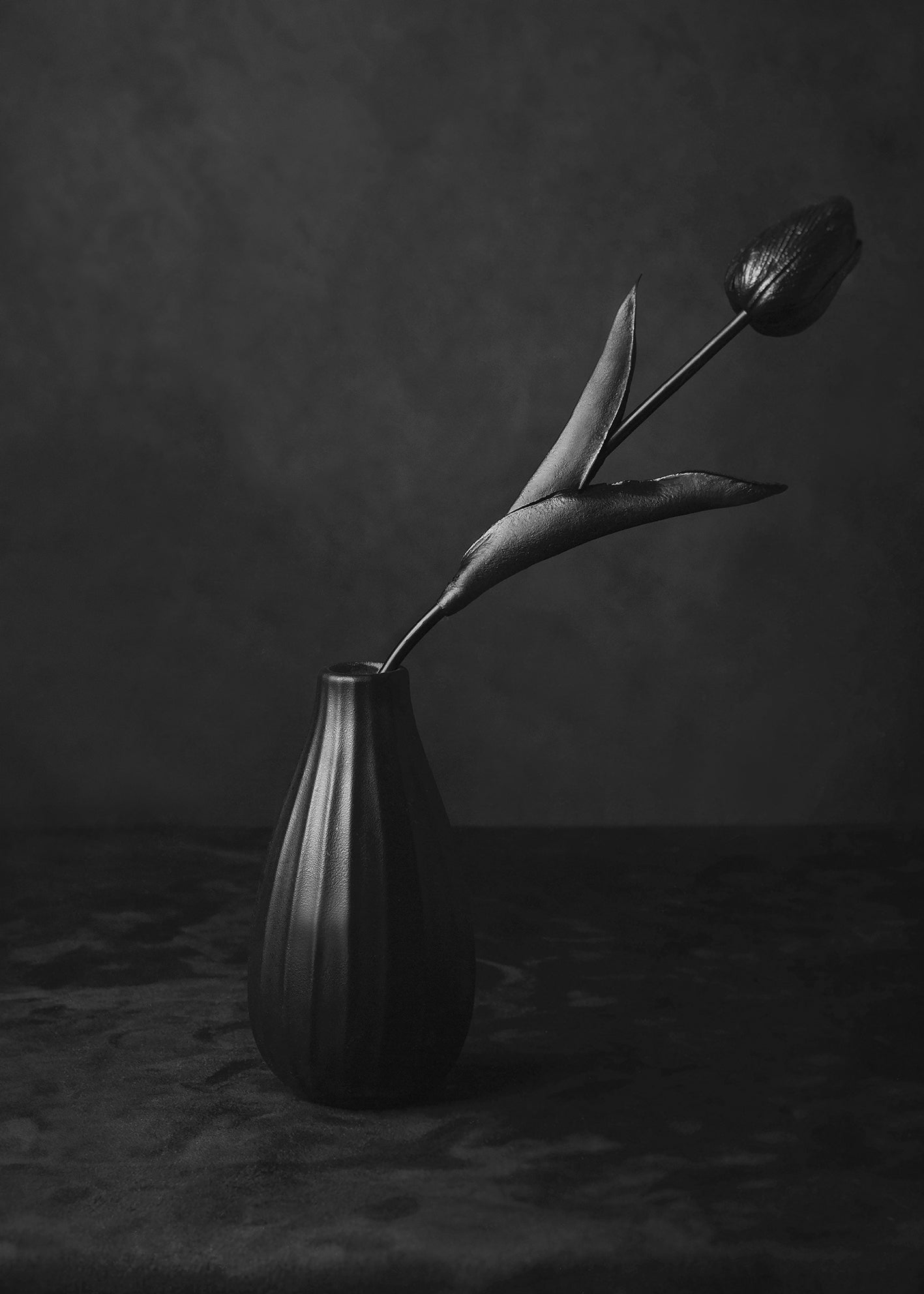 Canvastavla - Black Tulip