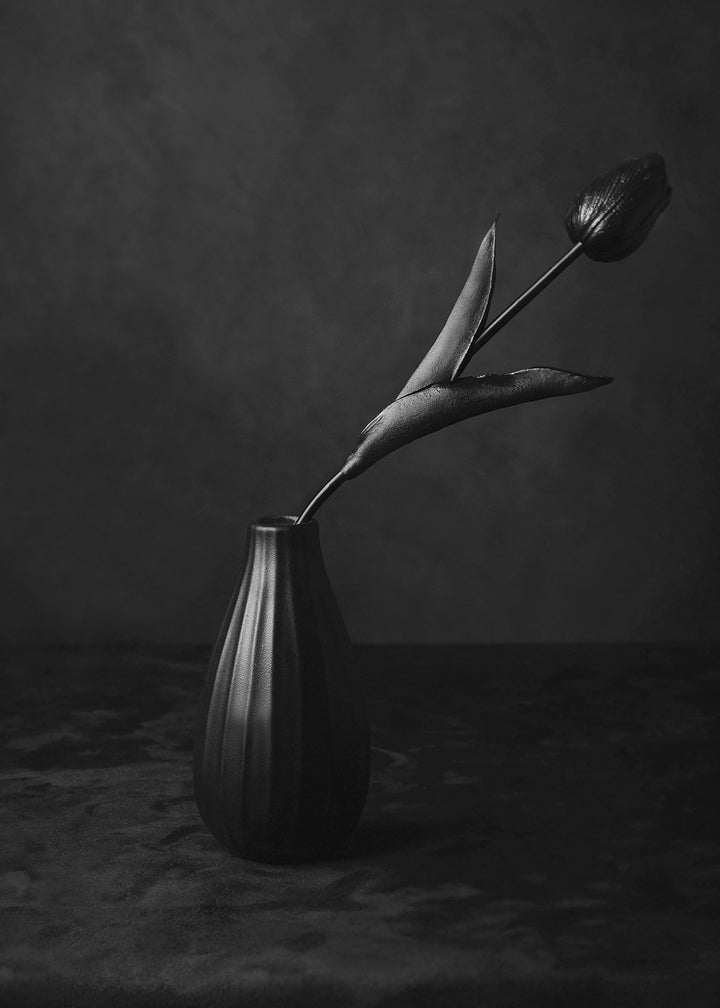 Canvastavla - Black Tulip