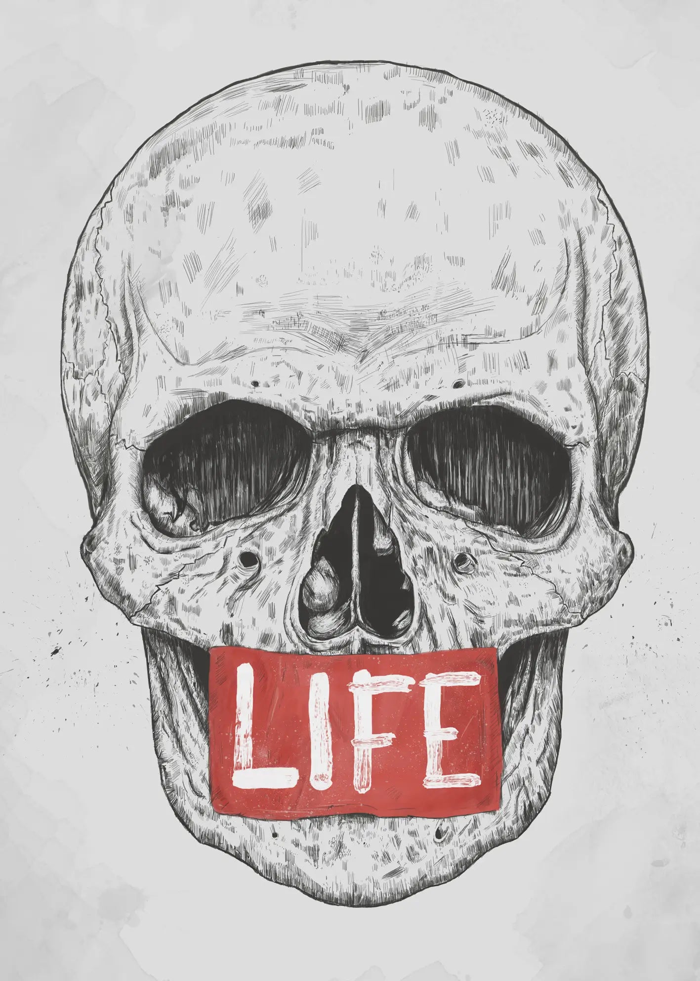 Canvastavla - The Paradox of Life
