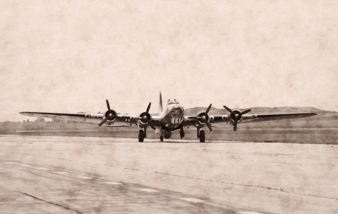 Canvastavla - The Flight home