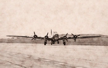 Canvastavla - The Flight home
