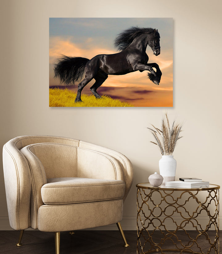 Canvastavla - Black beauty