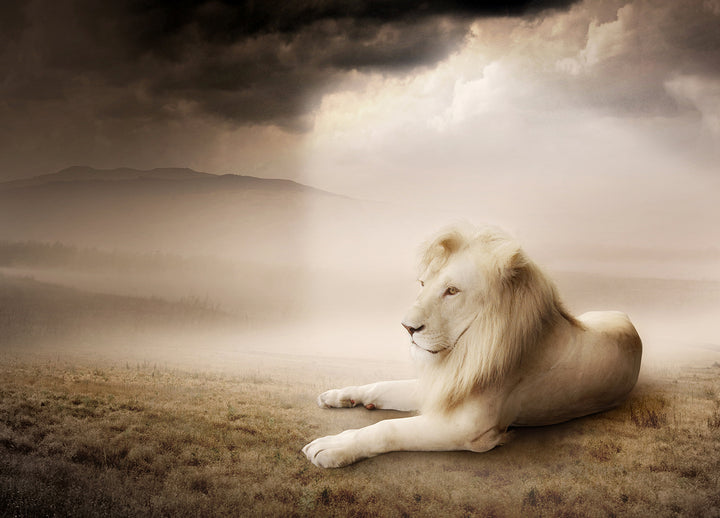 Canvastavla - My kingdom