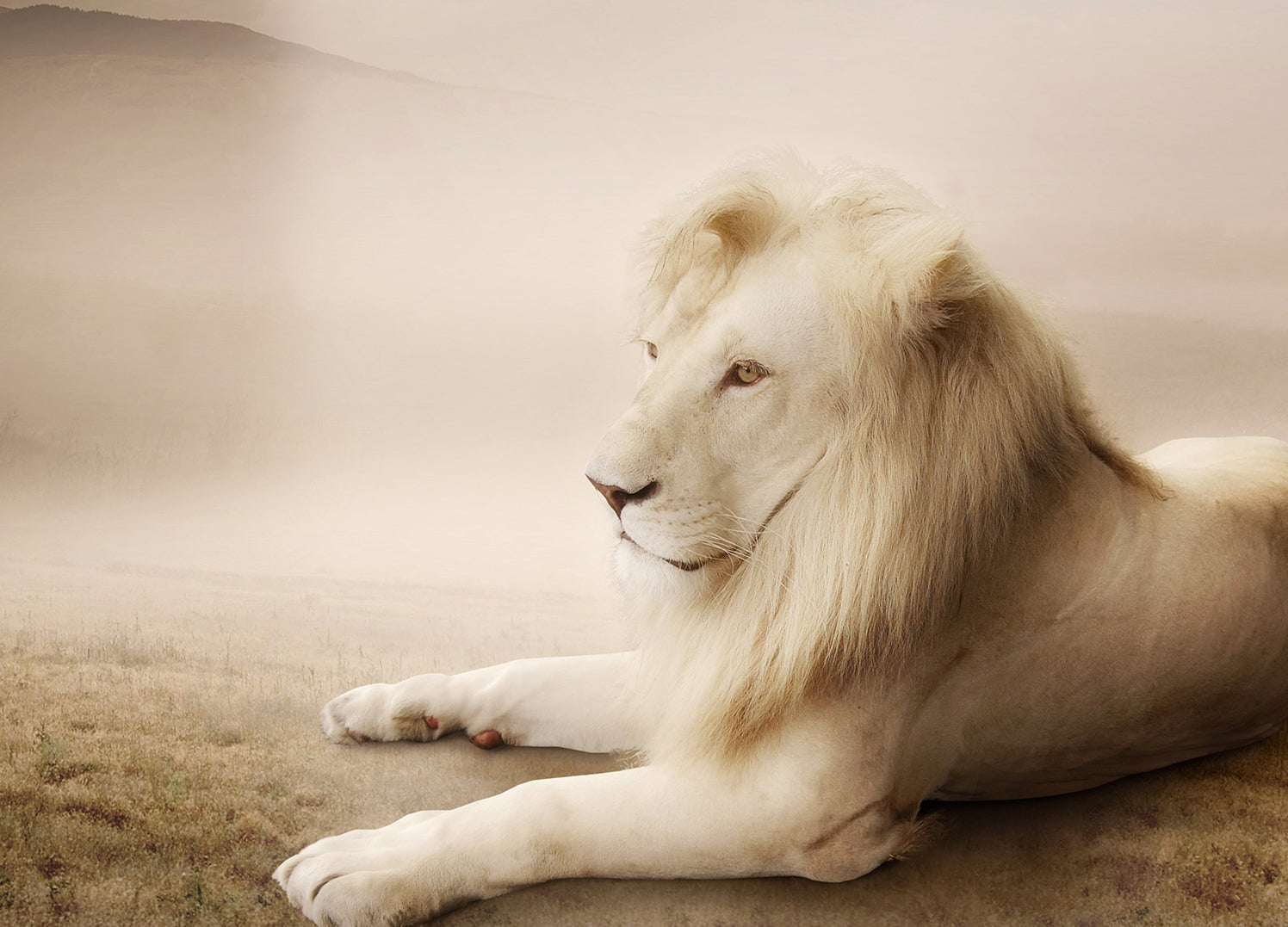 Canvastavla - My kingdom