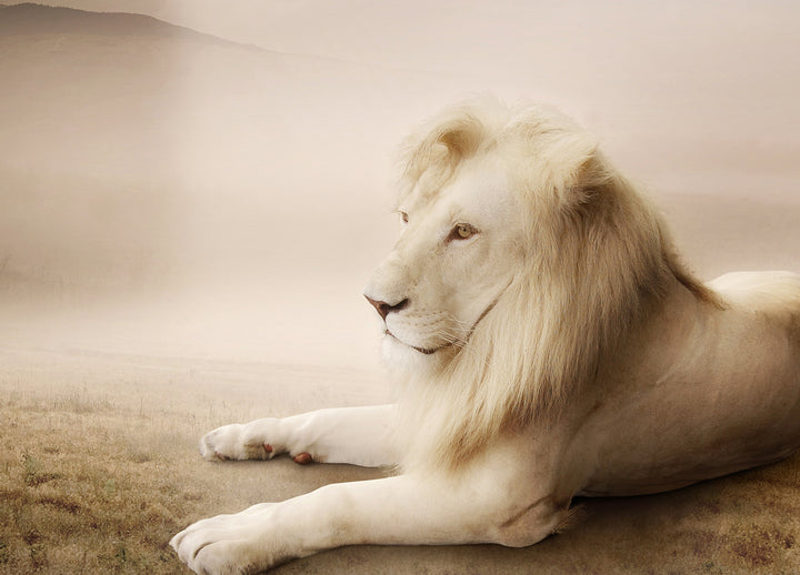 Canvastavla - My kingdom