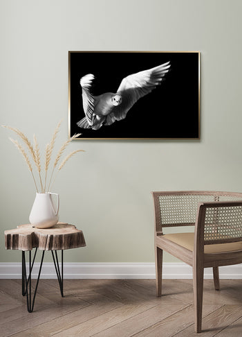 Poster - Flight of Freedom