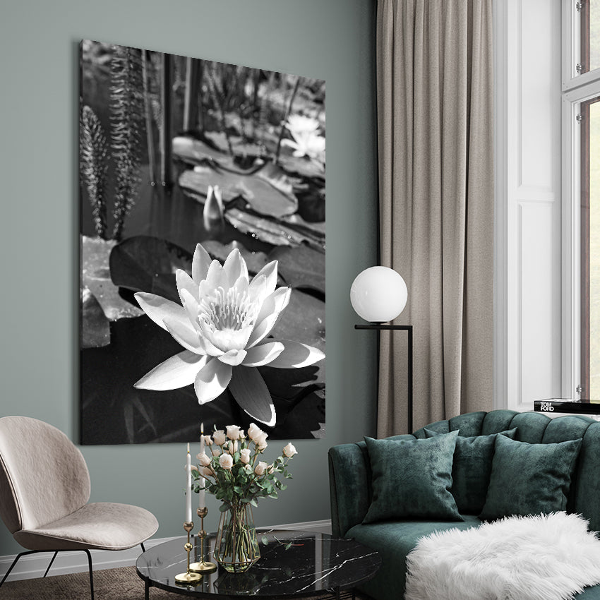 Canvastavla - Water Lily
