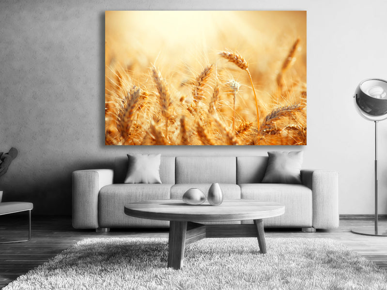 Canvastavla - Golden meadow