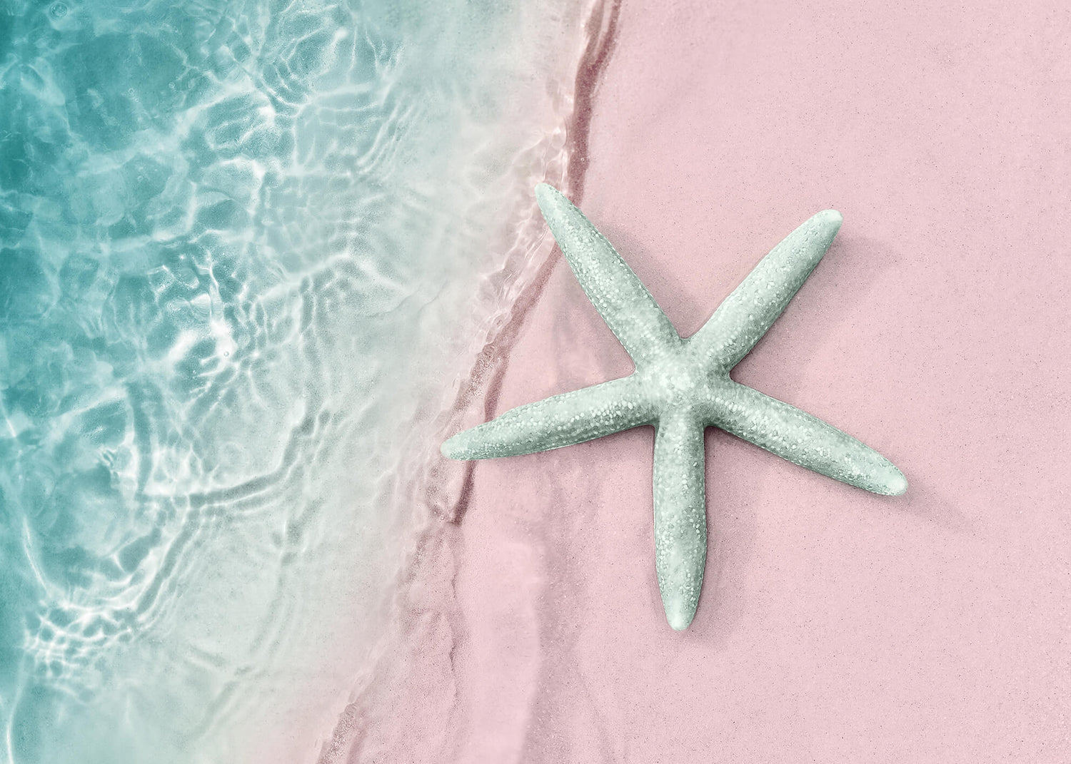 Canvastavla - Turquoise starfish