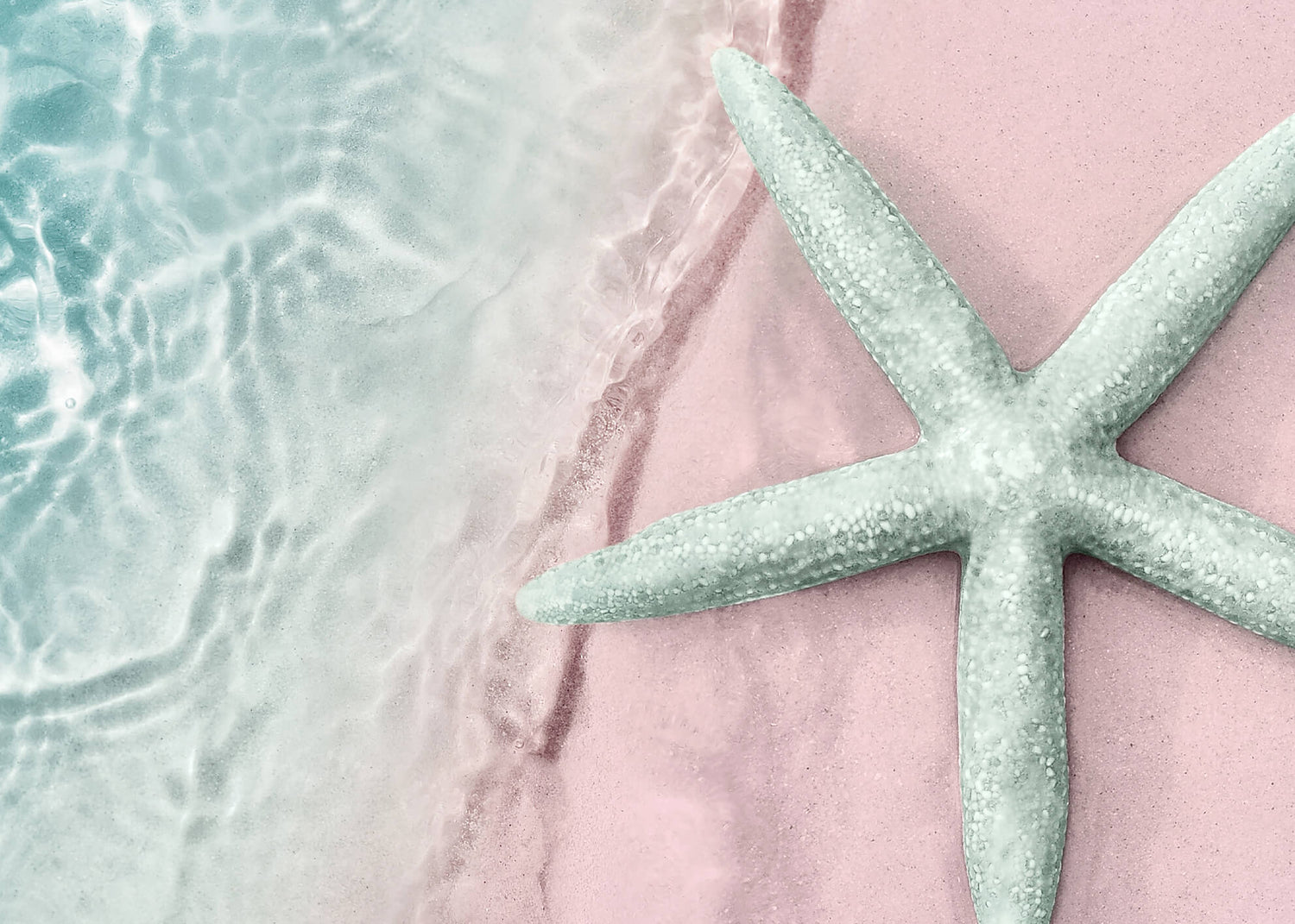Canvastavla - Turquoise starfish