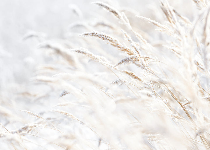 Canvastavla - Whispering Winter