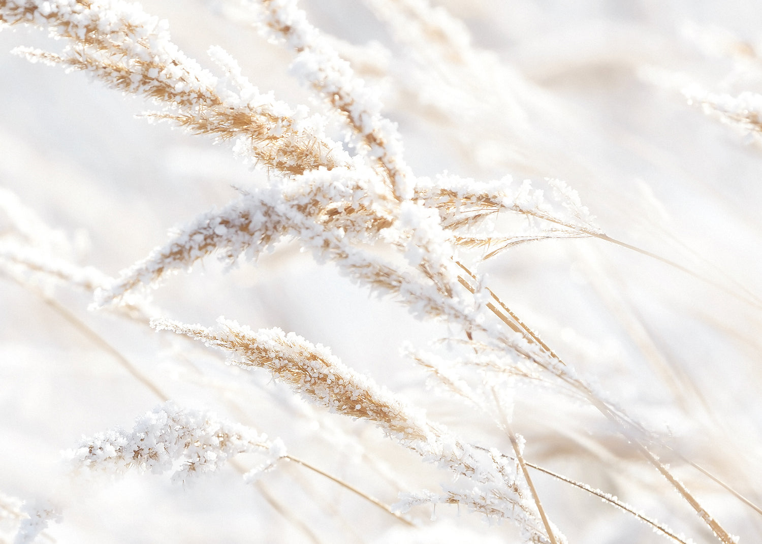Canvastavla - Whispering Winter