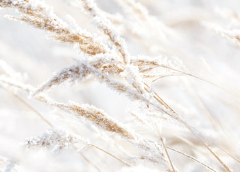 Canvastavla - Whispering Winter
