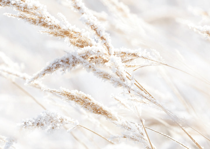 Canvastavla - Whispering Winter