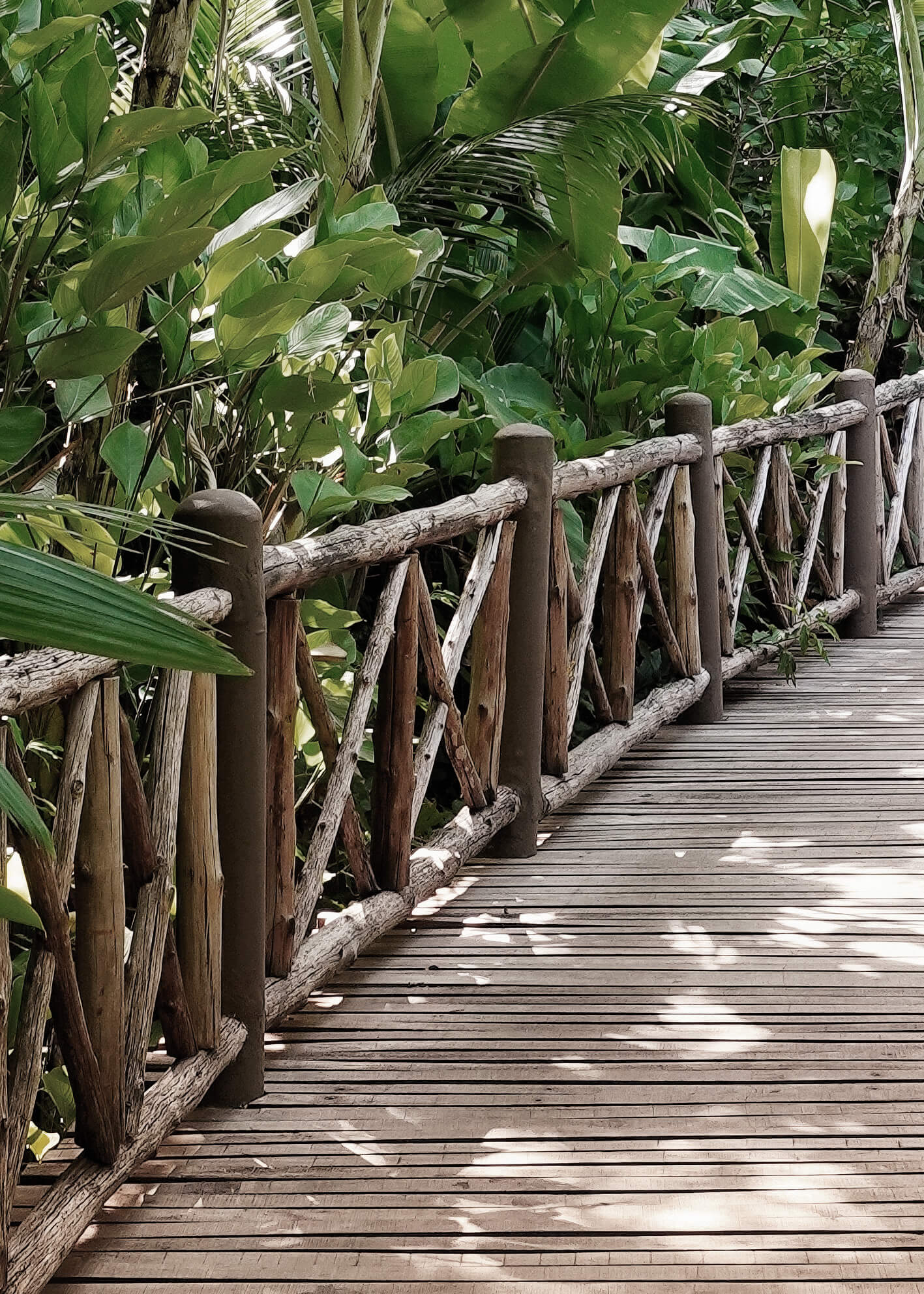 Canvastavla - Jungle Tranquility