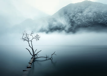 Canvastavla - Quiet Nature