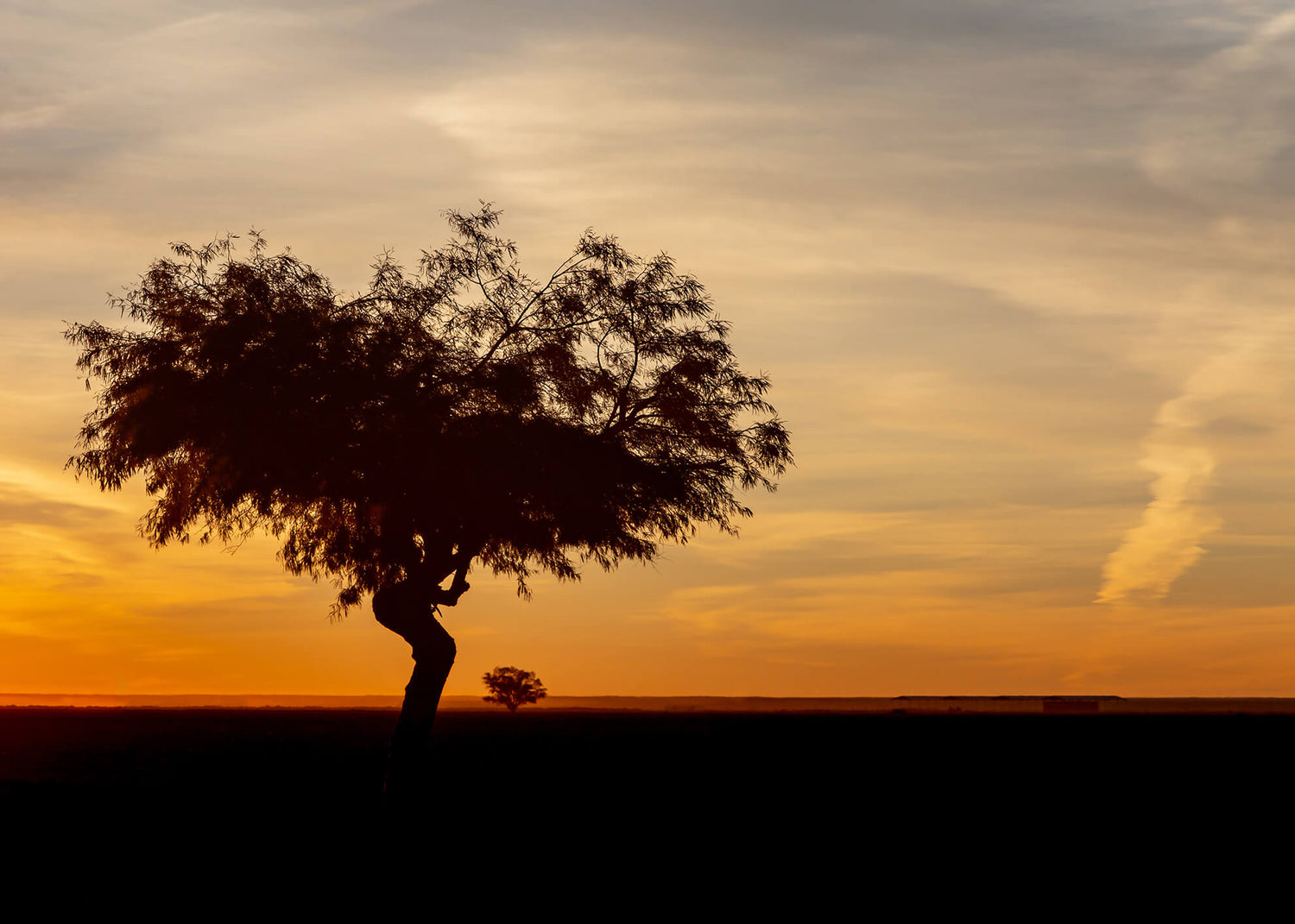 Canvastavla - African landscape