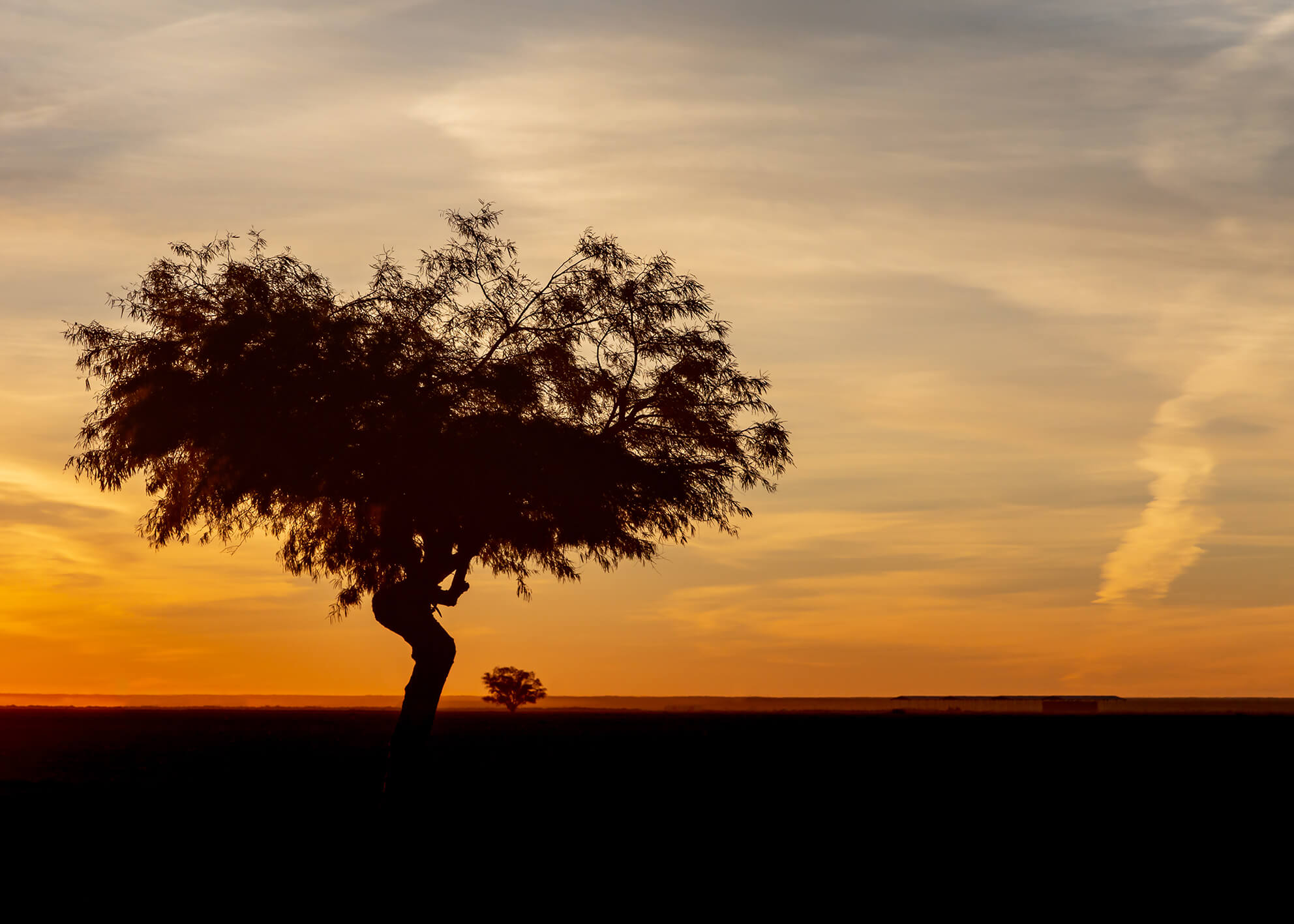 Canvastavla - African landscape
