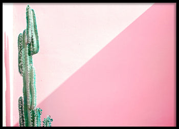 Poster - Contrasts