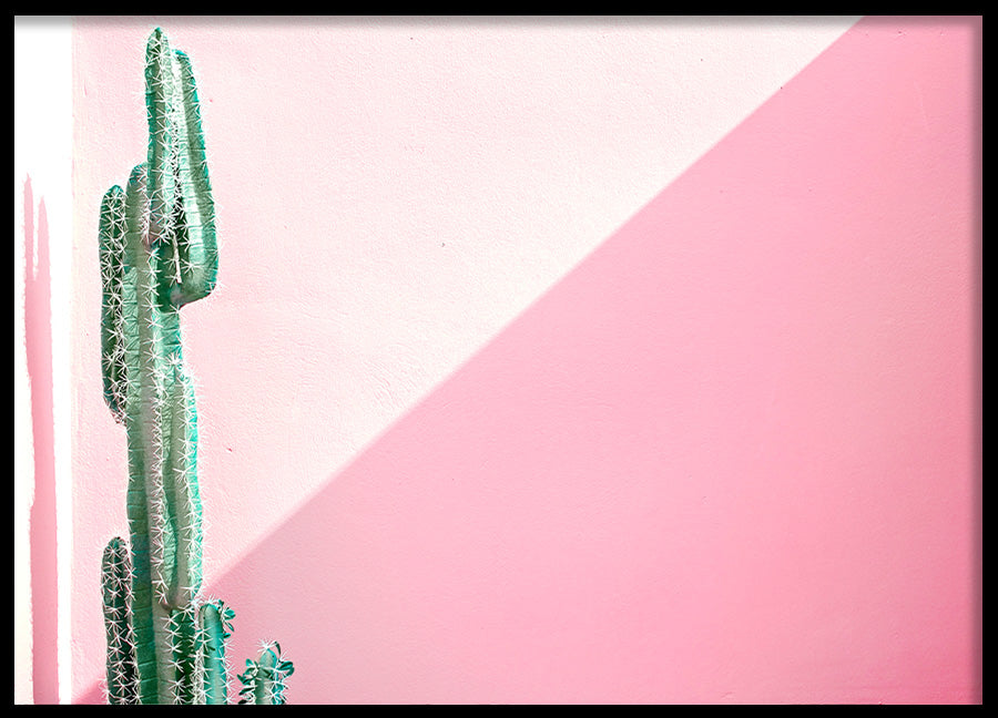 Poster - Contrasts