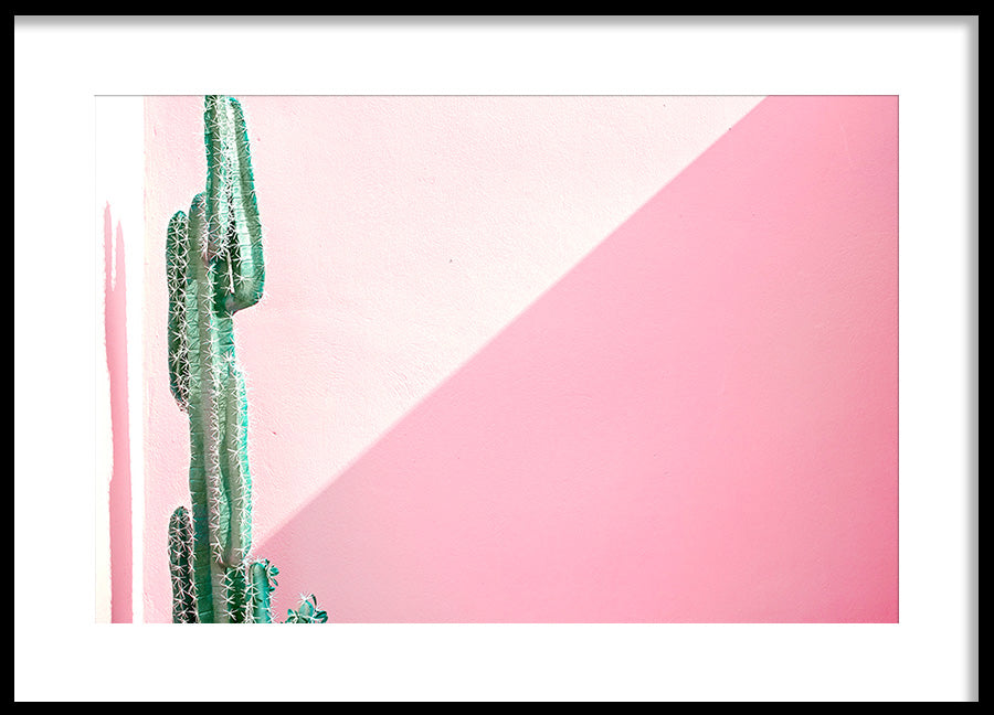 Poster - Contrasts