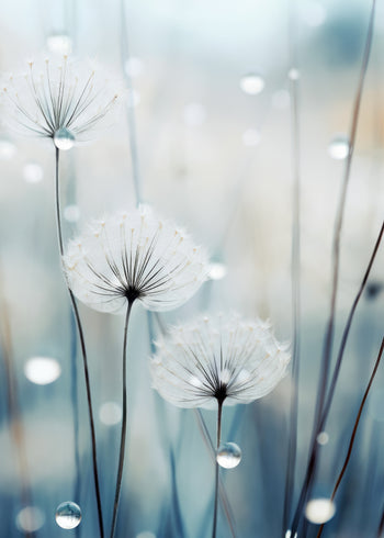 Ljuddämpande tavla - Soft Blue No2