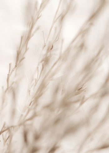 Canvastavla - Fields in Fall