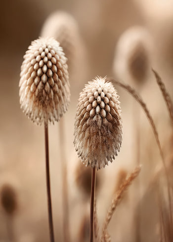 Ljuddämpande tavla - Beige Botanics