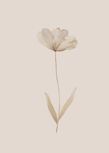 Canvastavla - Flower in Fall