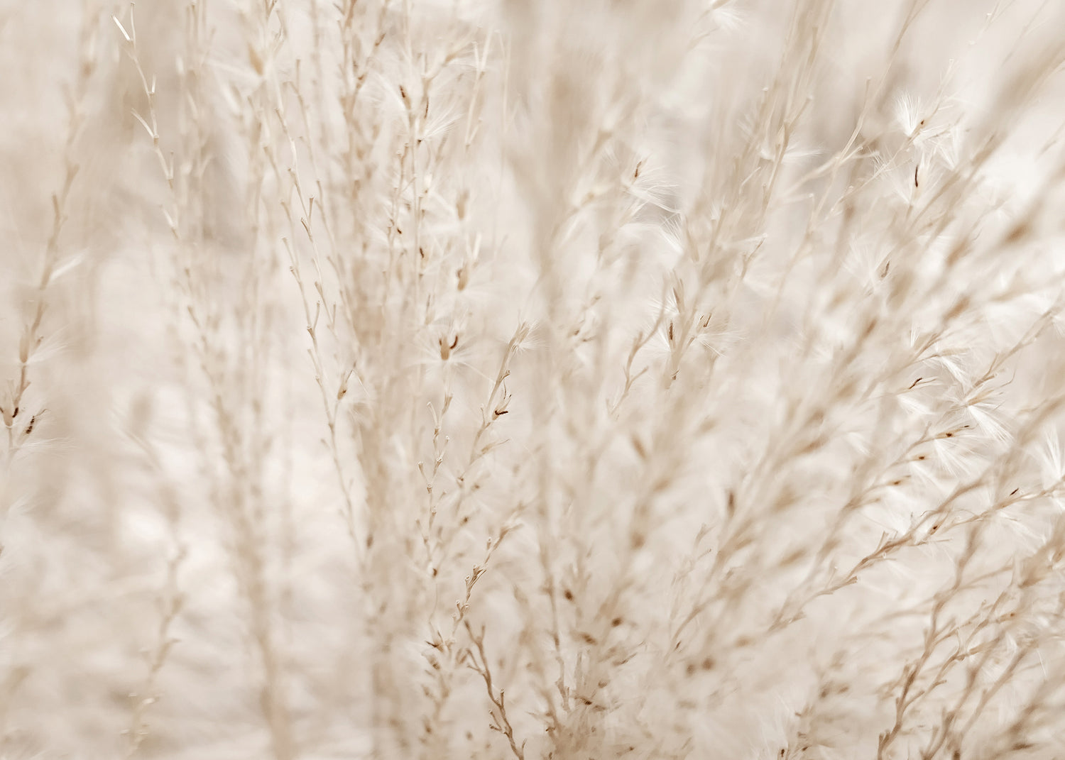 Canvastavla - Autumn Fields