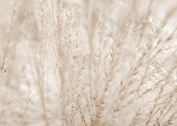 Canvastavla - Autumn Fields
