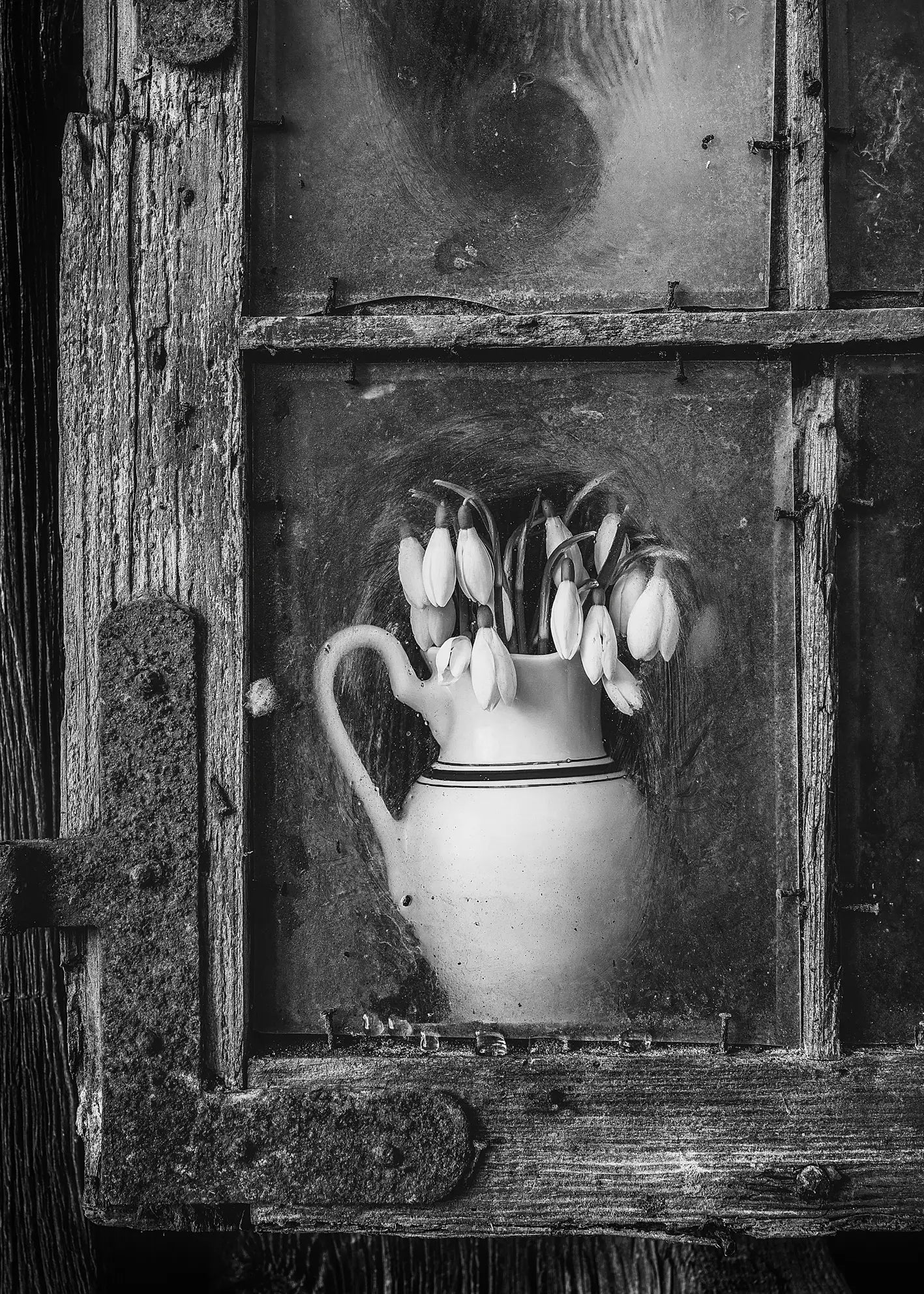 Canvastavla - The Lonely Vase