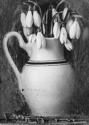 Canvastavla - The Lonely Vase