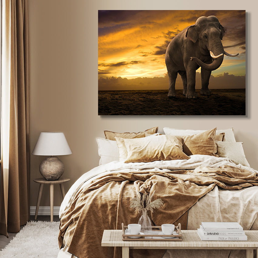 Canvastavla - Elefant