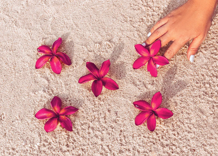 Canvas print - Red Flowers on Sand