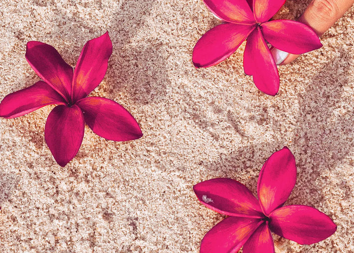 Canvas print - Red Flowers on Sand