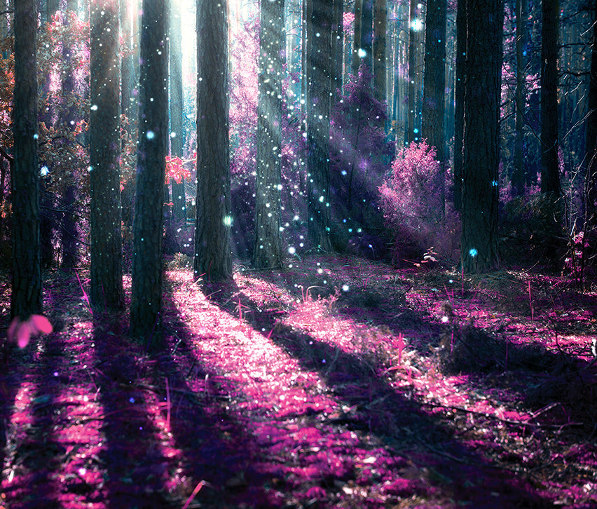 Canvastavla - The Enchanted Forest